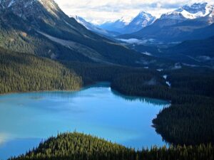 peyto lake, alberta, canada