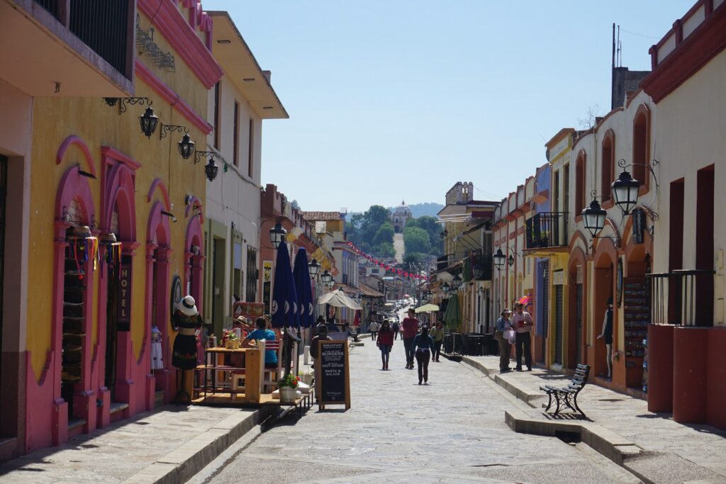 people walking on street near buildings during daytime